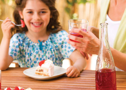 Tramontina Stainless Steel Cake Set 33cm